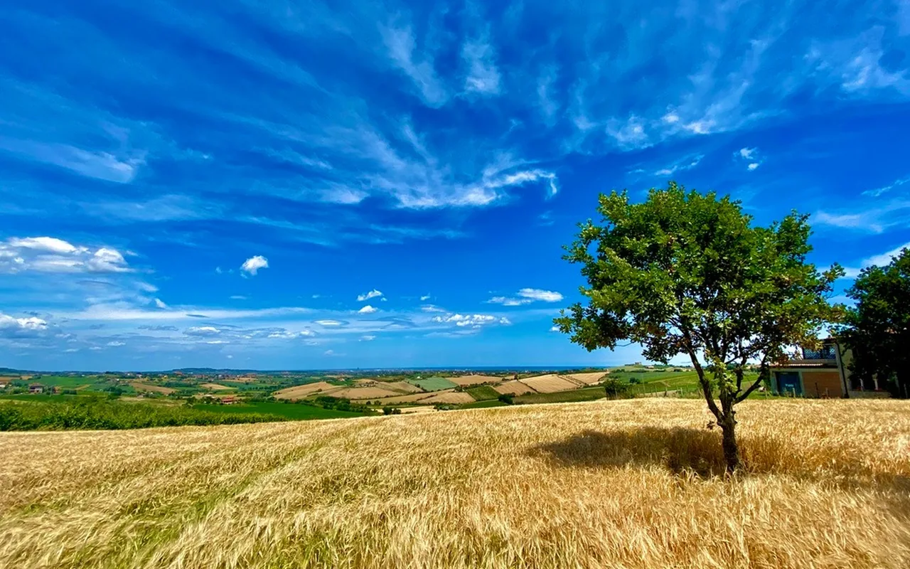 B&B La Lavanda, angolo Ca' Bacchino